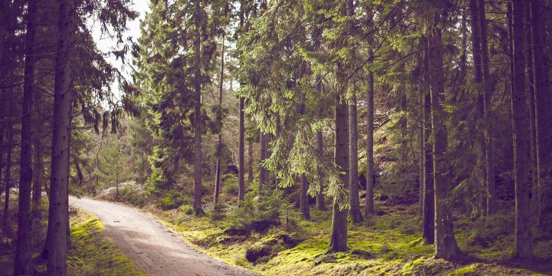 NFV与CNI融合之道：以禅意设计实现云原生网络资源的高效共享