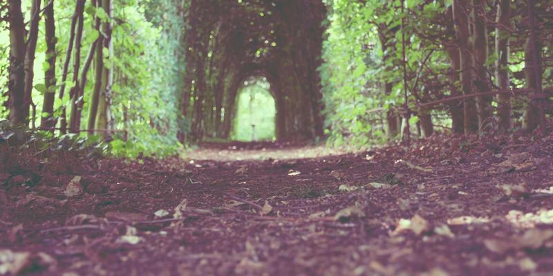 容器网络接口（CNI）深度对比：Calico、Cilium与Flannel在K8s中的性能与安全实践