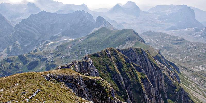 确定性网络:从5G TSN到工业互联网的端到端保障,如何重塑广域连接的“禅意”