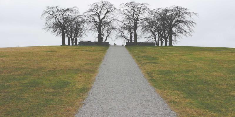 禅意设计，大江海999：基于SONiC与Stratum构建下一代白盒网络生态