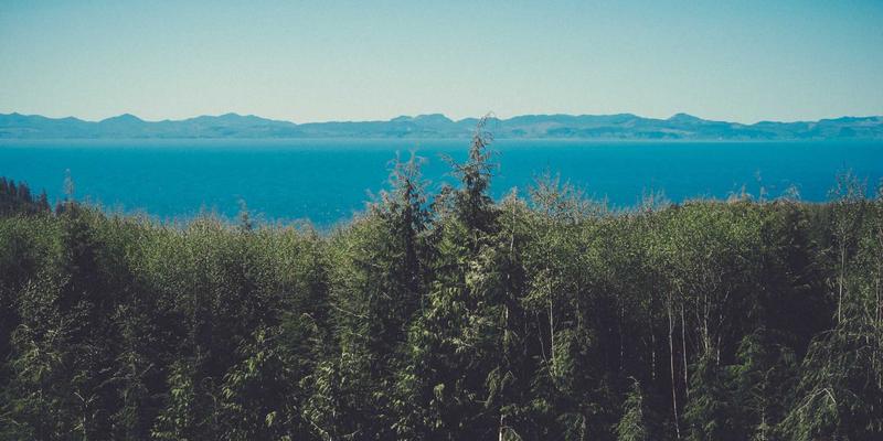 禅意设计思维赋能网络技术:解码企业数字化转型的“大江海999”战略