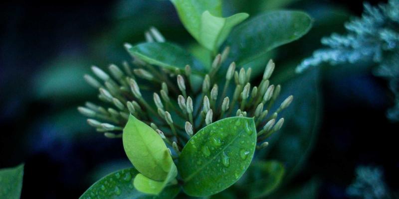 【编程教程】大江海999分享:基于SLA的网络感知应用实战——微服务自适应路由与资源调度深度解析